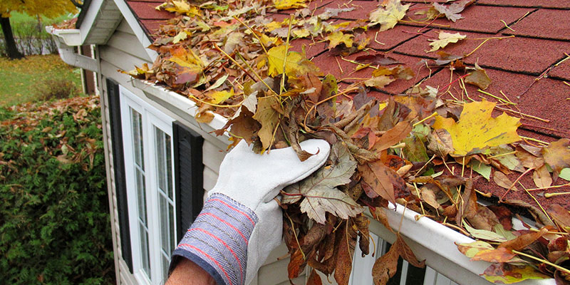 Gutter Cleaning