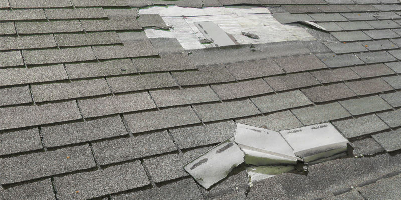 Three Signs You Need Roofing Services